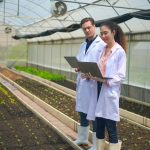 Cultivating the Future: AI Revolutionizing Agriculture