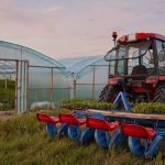 The Green Revolution 2.0: How AI is Revolutionizing Agriculture