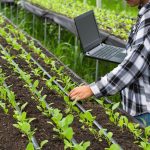 How Machine Learning is Advancing Precision Agriculture